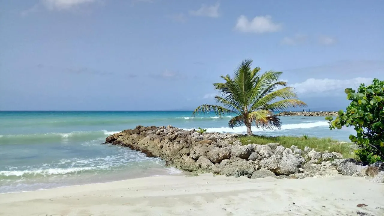 Studio Economique Les Pieds Dans L'Eau Apartment Le Gosier  0*, Le Gosier (Grande-Terre)