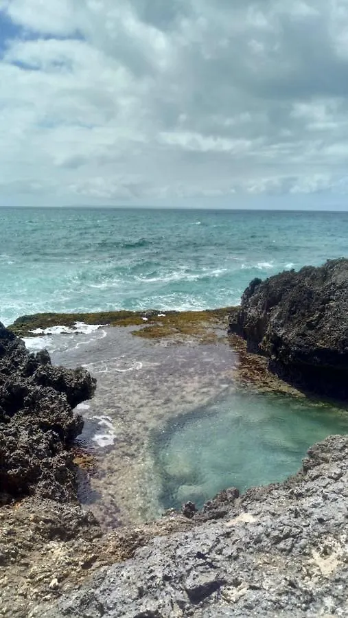 Studio Economique Les Pieds Dans L'Eau Apartment Le Gosier  Guadeloupe