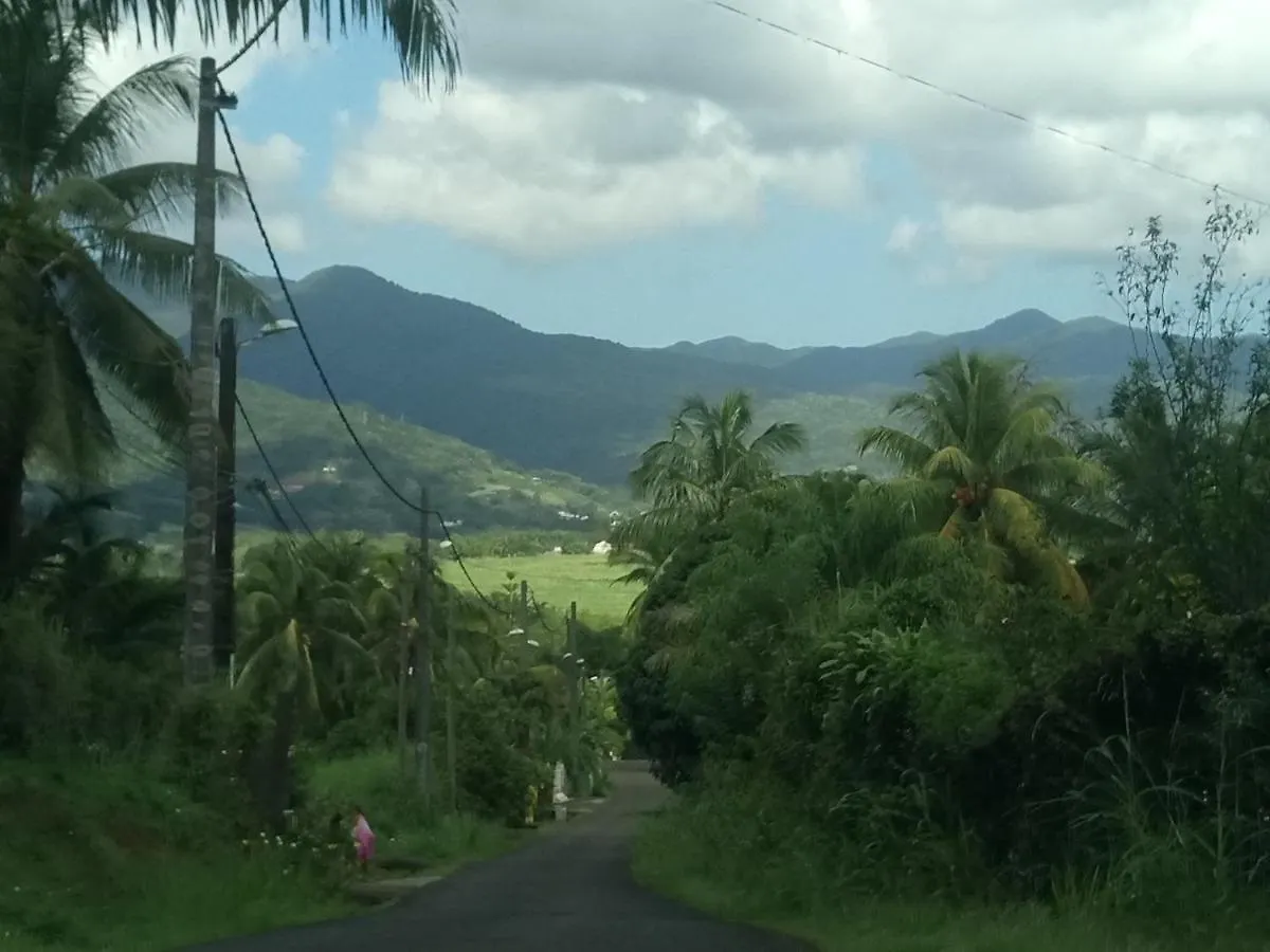 Studio Economique Les Pieds Dans L'Eau Apartment Le Gosier  Guadeloupe